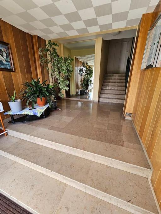 Charmant Appartement Moderne 71M2 A Illzach - Mulhouse - Parking Gratuit Zewnętrze zdjęcie
